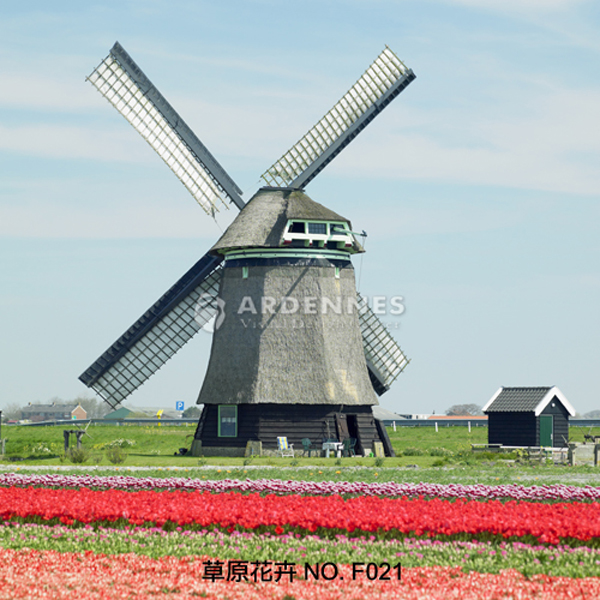 草原花卉F021