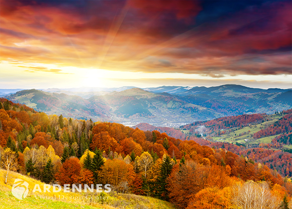 瀑布山水 P091